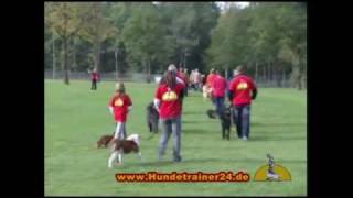 Hundetrainer Uwe Krüger im Fernsehbericht 2007 [upl. by Gardener319]