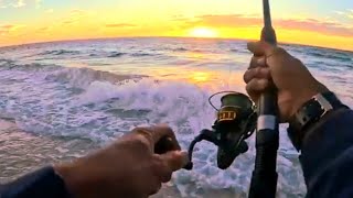 Beach Fishing at Sunset  Surprising Result [upl. by Wenger786]