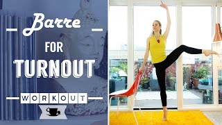 Ballet Barre for Turnout  Lazy Dancer Tips [upl. by Ronym]