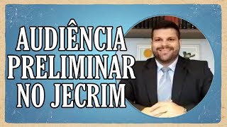 🔴 Audiência Preliminar no Juizado Especial Criminal  JECRIM  Lei 909995 [upl. by Edas]