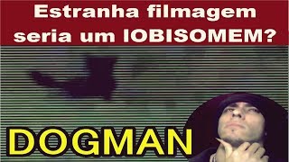 Estranha filmagem seria um lobisomem NEW DOGMAN [upl. by Nosrej373]