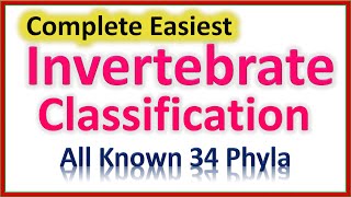 Invertebrate Classification  Easiest To Understand  All 34 Phyla in All Clades [upl. by Secrest]