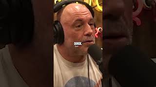 Joe Rogan Reacts to Donald Trump Election Chances [upl. by Eldwen227]