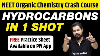 HYDROCARBONS in 1 Shot  All Concepts Tricks amp PYQs Covered  Class 11  NEET [upl. by Aznarepse]