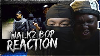 THE MANDEM DISSED ME 😭😭DAN amp KAZ  WALKZ BOP FREESTYLE WALKZ DISS REACTION [upl. by Atinek]