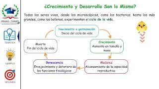 Crecimiento vs Desarrollo ¿Son lo Mismo  Descubre sus Diferencias [upl. by Orazal]