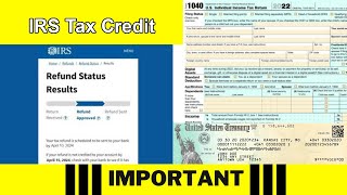 IRS How to Fix Child Tax Credit Schedule 8812 Errors Advance Payment Issues [upl. by Novaat]