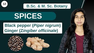 Economic Botany  SPICES  B Sc amp M Sc [upl. by Retxab]