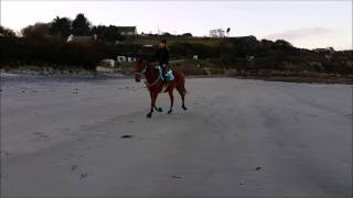 SÉANCE  plat sur la plage Nopleasaro 09 02 2015 [upl. by Adalai839]