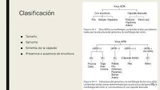 Generalidades de virología 2024 1 [upl. by Uhthna]