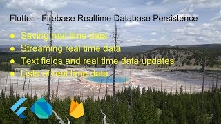 Flutter  Firebase Realtime Database Persistence [upl. by Hunley]