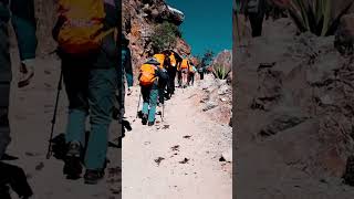 Inca Trail Tours incatrail machupicchu samtravel trekking sungate foodlover hiking [upl. by Nepets]