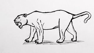 Saber toothed tiger smilodon sketch How to sketch saber toothed tiger smilodon smilodon drawing [upl. by Gabriel644]