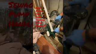 Sewage Ejector Pump Replacement TappPlumbing plumbing plumbers shorts [upl. by Madancy245]