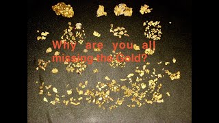 Why detectorists lose Gold Coins or any target I will prove it [upl. by Innep828]