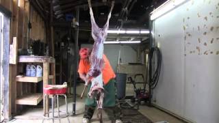 NEW World Record Deer Skinner [upl. by Llerahs]