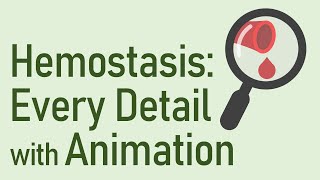 This Video Will SAVE 20 HOURS of Your Reading Time  Hemostasis Animation Series Compilation [upl. by Hadlee]