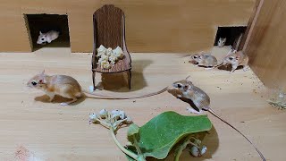 Cat Tv  Mice Games for Cats To Enjoy  10 Hours Mice Fun Video For Cats [upl. by Dilks516]