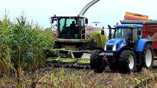 Claas Jaguar 940 en New Holland T7270T7060T7040 en 2 TVT155s  Loonbedrijf Grefelman [upl. by Oreves]