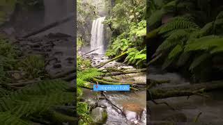 Best places to visit in Victoria 🇦🇺 Part 3  Hopetoun Falls 💦 melbourne australia travel [upl. by Jessen51]