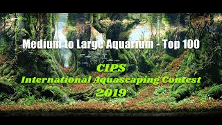 2019 CIPS International Aquascaping Contest CIAC Top 100 Winners Medium to Large Category [upl. by Rabin]