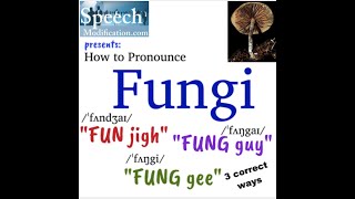 How to Pronounce Fungi 3 Correct Ways [upl. by Eyllek734]