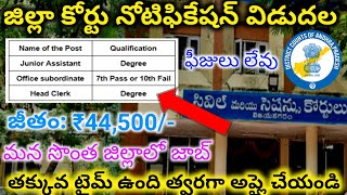 District Court Jobs Notification 2024  District court jobs 2024  AP Court Jobs notification [upl. by Obaza]