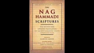 Trimorphic Protennoia  Three Forms of First Thought  Nag Hammadi Gnostic Audiobook [upl. by Brynna877]