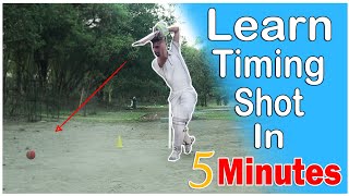 How to improve batting timing in cricket  How to Time a Cricket Stroke [upl. by Enybor]