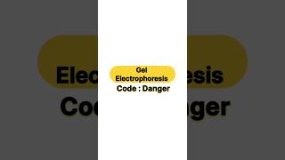 Gel electrophoresis botany biology zoology biotechnology [upl. by Ahsilek]