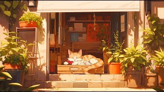 a day away from the window 🐈 [upl. by Nimajneb]