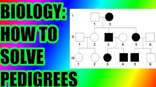 Biology How To Solve Pedigree Charts amp Questions [upl. by Teirtza251]