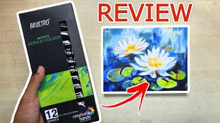 Brustro Acrylic Paints REVIEW [upl. by Dumas432]