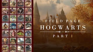 Hogwarts Legacy  Hogwarts Castle Revelio Pages Location Guide PART 1 [upl. by Gnues515]