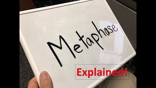 Metaphase explained [upl. by Tracey]