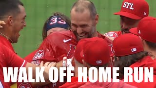 Paul Goldschmidt Walks It Off with a Solo Home Run vs Nationals [upl. by Darleen]