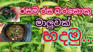 රසම රස බරකොකු මාලුවක් හදමු babara production video😀😀😀 [upl. by Yeh]