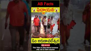 🙏పెద్దాయన🙏 Power of arunachala giri pradakshina telugufacts facts shorts youtubeshorts abfacts [upl. by Budding632]