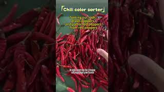 Chilli Peppers sorting，up to 4 tons per hour machine farmingcolor sorter [upl. by Frederica]