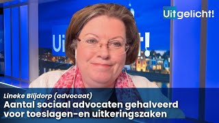 Uitgelicht 11 november 2024  Lineke Blijdorp over de halvering van het aantal sociaal advocaten [upl. by Eniledgam]