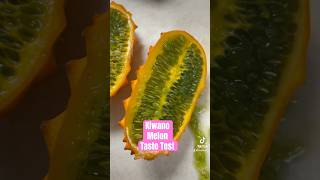 Kiwano Melon Taste Test [upl. by Irdua]