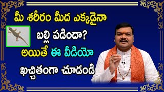 మీ శరీరం మీద బల్లి పడిన వెంటనే ఏం చెయ్యాలో తెలుసా  Machiraju Kiran Kumar [upl. by Rebeh]