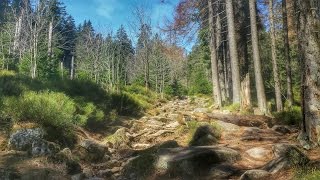 Aufstieg zum BROCKEN via TEUFELSSTIEG aus Schierke Nationalpark HARZ [upl. by Llednik]