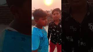 ll आशु भाई ने कबूतर के बच्चे की मदद की 🕊️🕊️🕊️😱😱😱🥺🥺🥺 llpigeon kabutar shop subscribe shortvideo [upl. by Batruk]