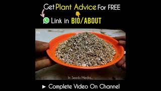 Most Effective Ways to Use Vermiculite For Plants [upl. by Rudich]