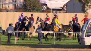 Kalgoorlie Cup Day October 7th 2023 Race 9 [upl. by Timmi]