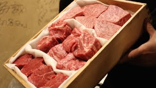 Japanese Wagyu amp Horumon Yakiniku Restaurant Experience [upl. by Chancellor]