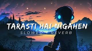 Tarasti hai nigahen lofi remix lofi slowed reverb aesthetic remix new version [upl. by Jorgensen]