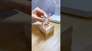 Marble runs with extremely rolling slopes marblerun marblerunrace asmr [upl. by Leirej]