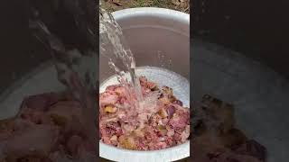 PANNI KARI Varuval  Village style pork fry  Vetti pasanga village cooking channel [upl. by Cirek]